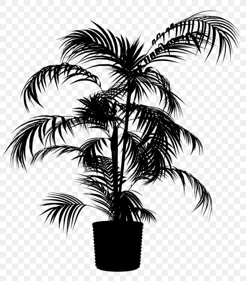 Asian Palmyra Palm Babassu Black & White, PNG, 1014x1160px, Asian Palmyra Palm, Arecales, Attalea, Attalea Speciosa, Babassu Download Free