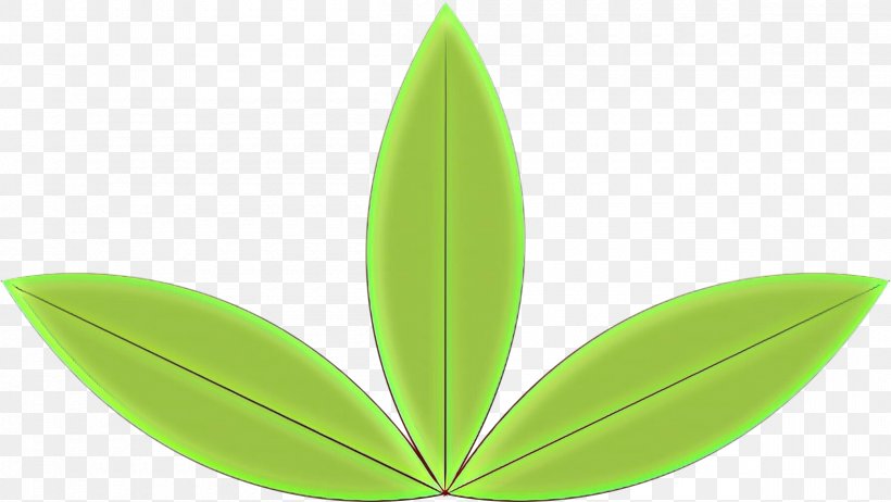 Green Leaf Logo, PNG, 2400x1353px, Leaf, Flower, Green, Logo, Perennial Plant Download Free