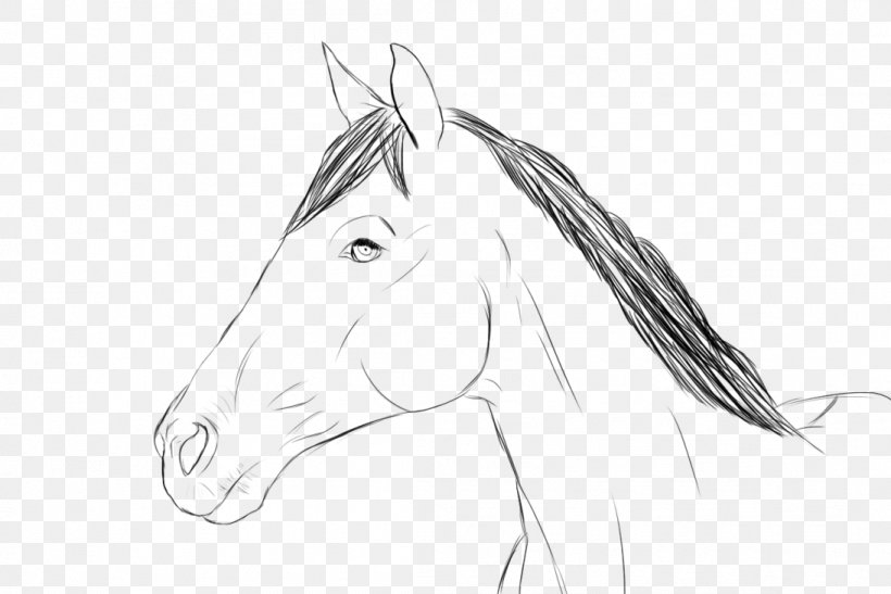 Halter Bridle Rein Mustang Sketch, PNG, 1094x730px, Halter, Artwork, Black And White, Bridle, Drawing Download Free