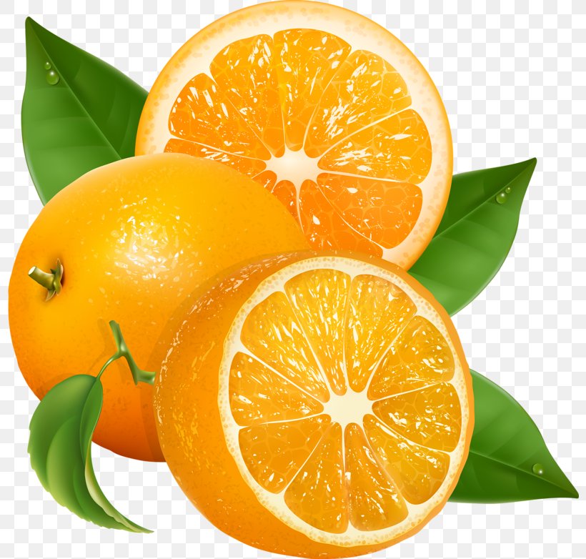 Vector Graphics Vitamin C Royalty-free Orange, PNG, 800x782px, Vitamin C, Bitter Orange, Citric Acid, Citron, Citrus Download Free