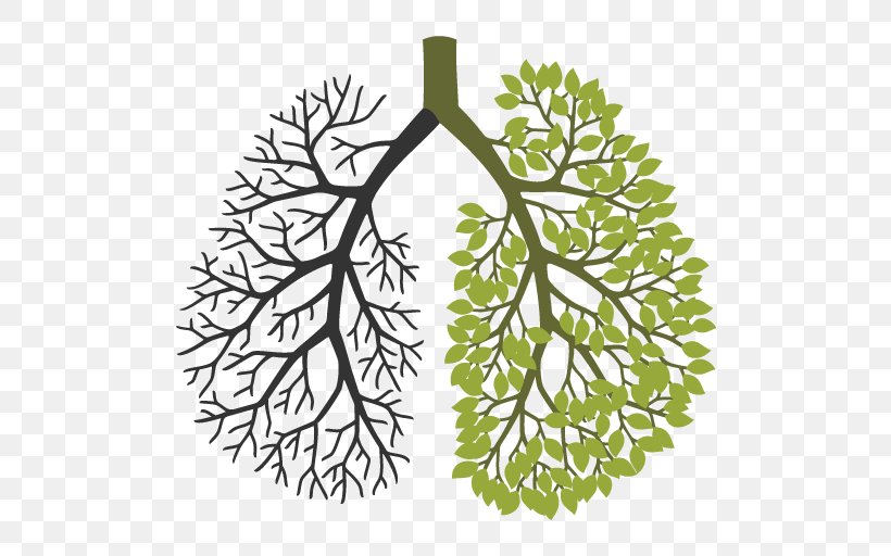 Your Lungs Leaf Respiratory System Tree, PNG, 512x512px, Lung, Branch, Breathing, Flora, Flower Download Free