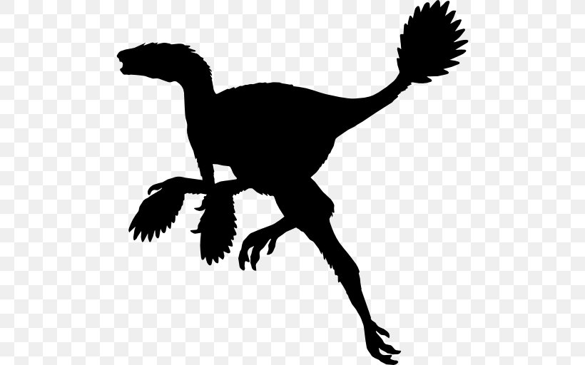 Caudipteryx Gigantoraptor Dinosaur Magyarosaurus Dilong, PNG, 512x512px, Caudipteryx, Animal, Beak, Black And White, Camptosaurus Download Free