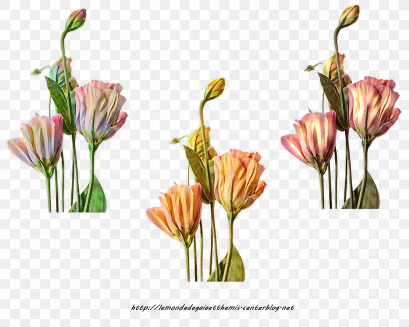 Floral Design Cut Flowers Flowering Plant, PNG, 1000x800px, Floral Design, Artificial Flower, Blog, Bud, Cut Flowers Download Free