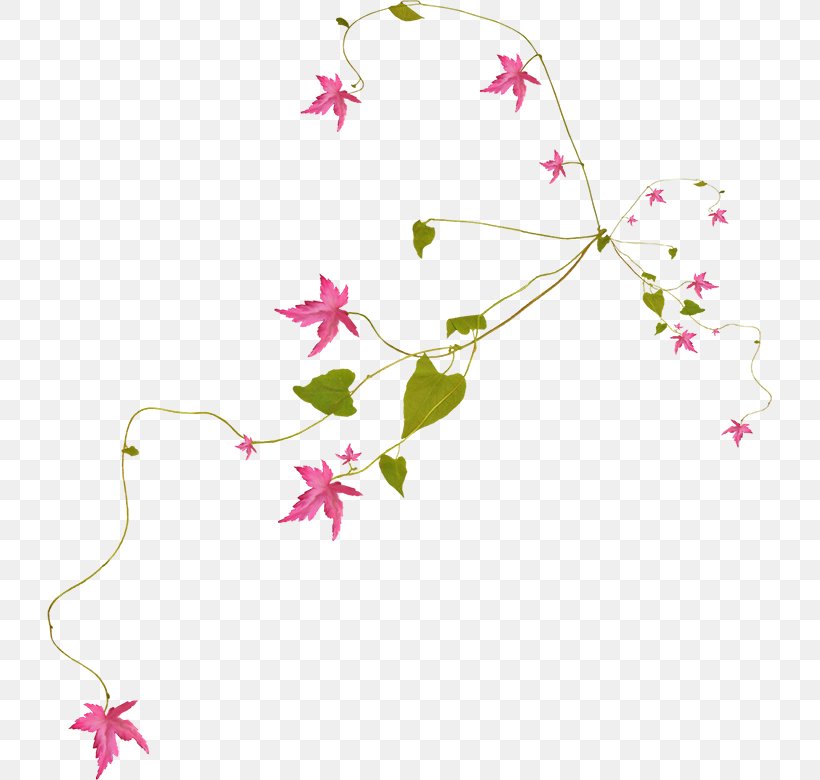 Flower Branch Petal Paper, PNG, 725x780px, Flower, Area, Branch, Designer, Floral Design Download Free