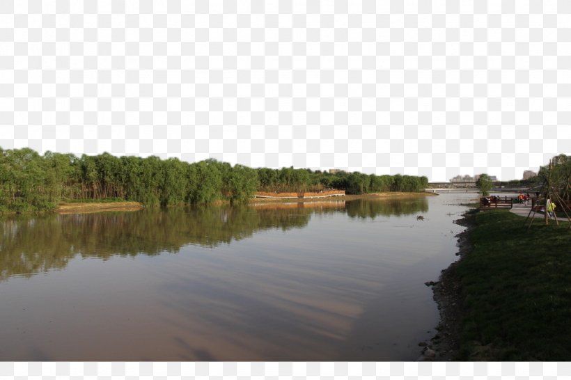 Green, PNG, 1024x683px, Green, Bank, Bayou, Designer, Floodplain Download Free