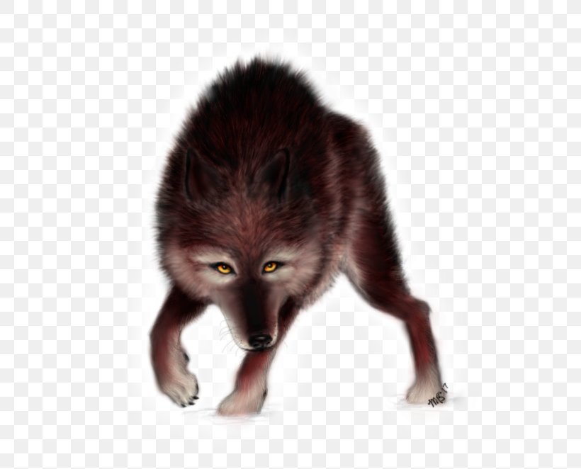 Red Fox Fur Fauna Snout, PNG, 602x662px, Red Fox, Carnivoran, Dog Like Mammal, Fauna, Fox Download Free