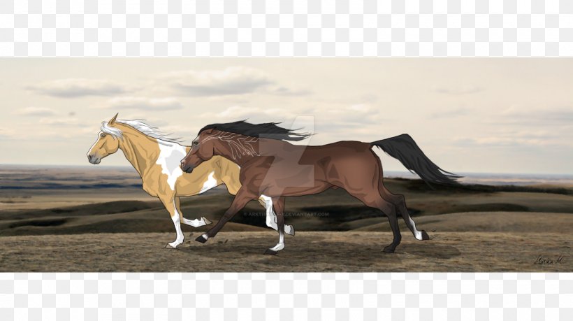 Stallion Mustang Breed Warmblood Horse Tack, PNG, 1600x897px, Stallion, Breed, Bridle, Color, Flame Download Free