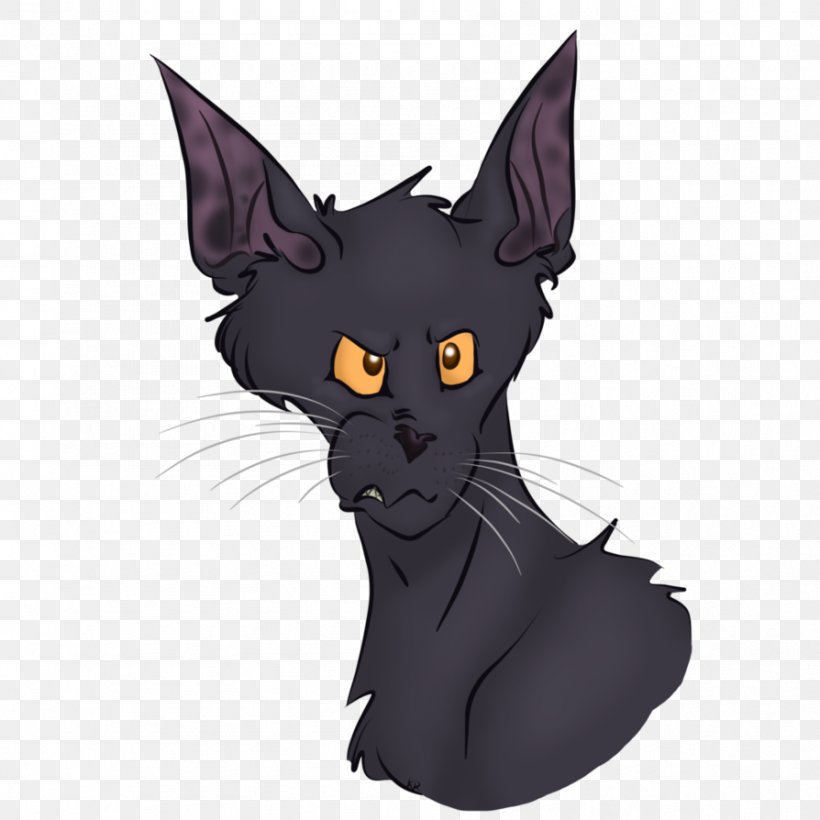Whiskers Cat Dog Canidae Snout, PNG, 894x894px, Whiskers, Black Cat, Canidae, Carnivoran, Cartoon Download Free
