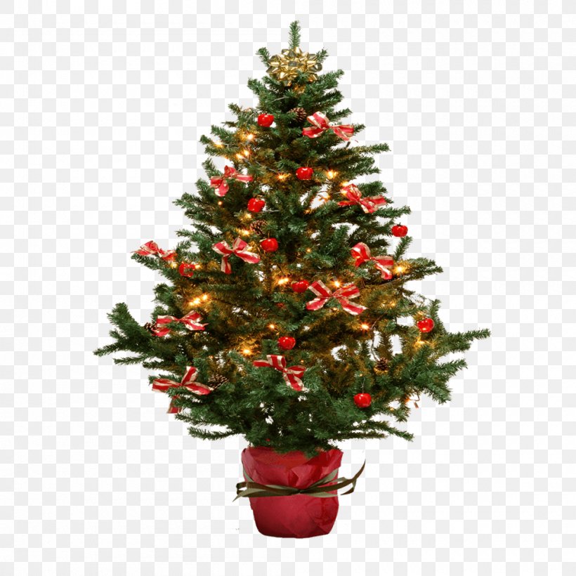 Christmas Tree Fir Clip Art, PNG, 1000x1000px, Christmas Tree, Christmas, Christmas Decoration, Christmas Ornament, Conifer Download Free