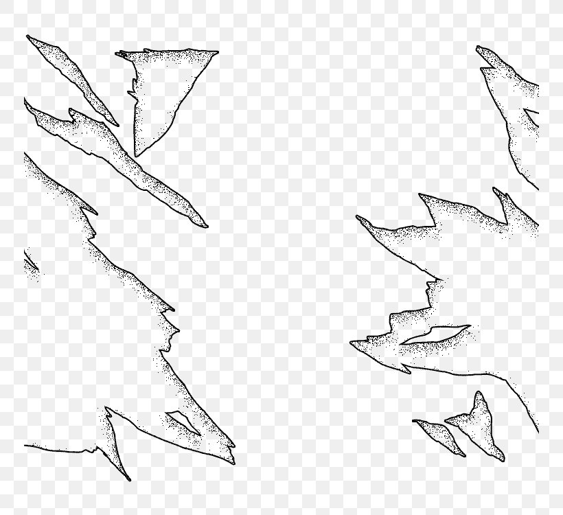Drawing Line Art Leaf Sketch, PNG, 750x750px, Drawing, Area, Artwork, Beak, Black And White Download Free