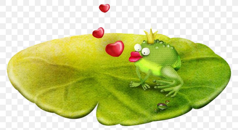 Frog PhotoScape Clip Art, PNG, 800x447px, Frog, Animal, Blog, Email, Fruit Download Free