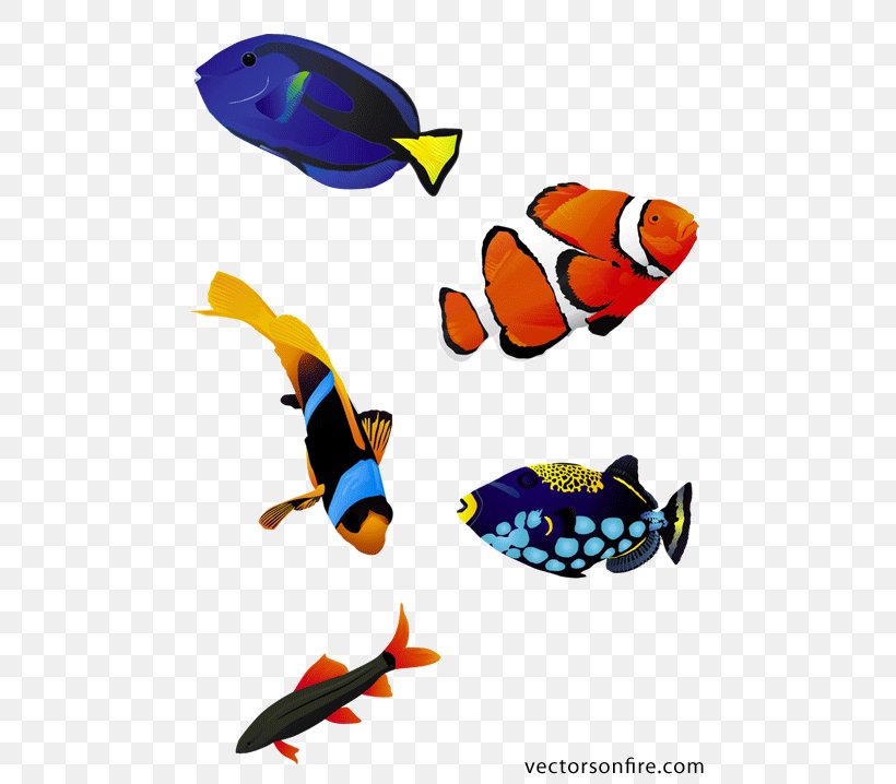 Koi Saltwater Fish Clip Art, PNG, 500x718px, Koi, Aquarium, Coral Reef Fish, Drawing, Fish Download Free