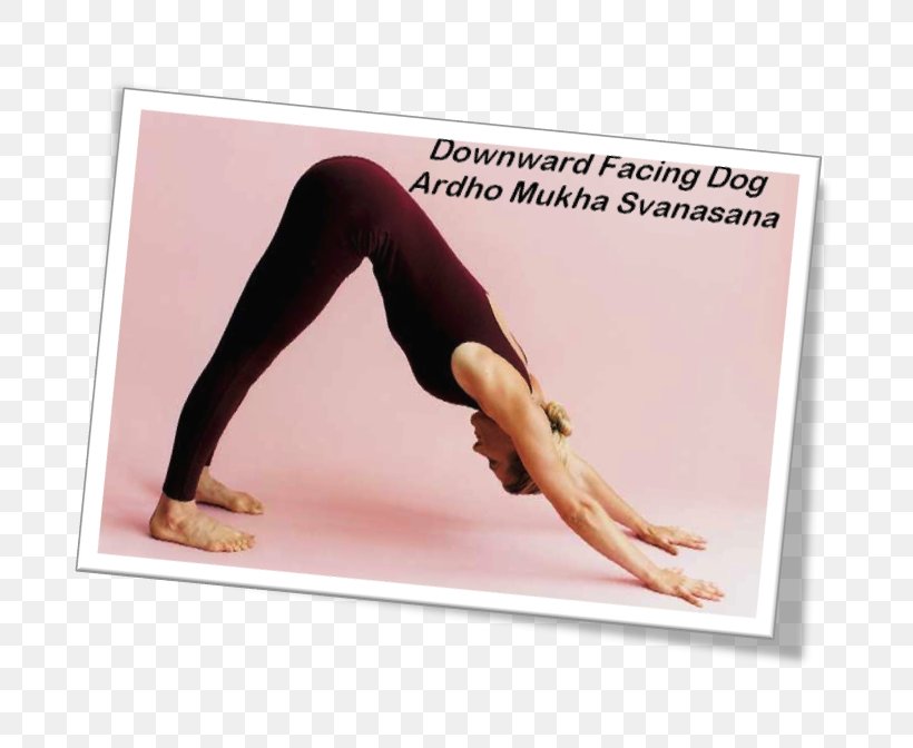 Yoga Dog Adho Mukha śvānāsana Shoulder Exercise, PNG, 777x672px, Watercolor, Cartoon, Flower, Frame, Heart Download Free