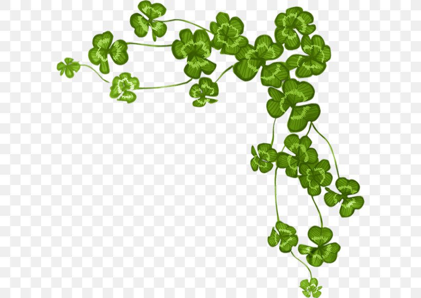 Four-leaf Clover Shamrock Saint Patrick's Day, PNG, 600x580px, Clover, Branch, Drawing, Fourleaf Clover, Grass Download Free