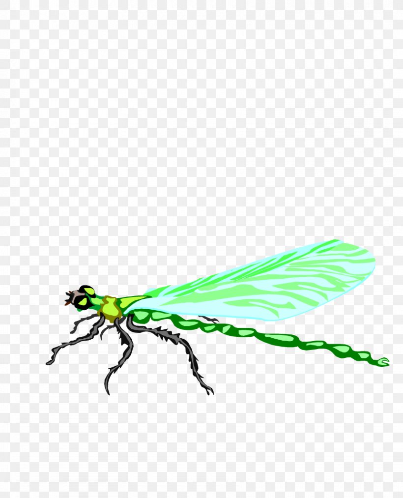 Dragonfly Insect Animation, PNG, 860x1063px, Dragonfly, Animation, Arthropod, Cartoon, Computer Graphics Download Free