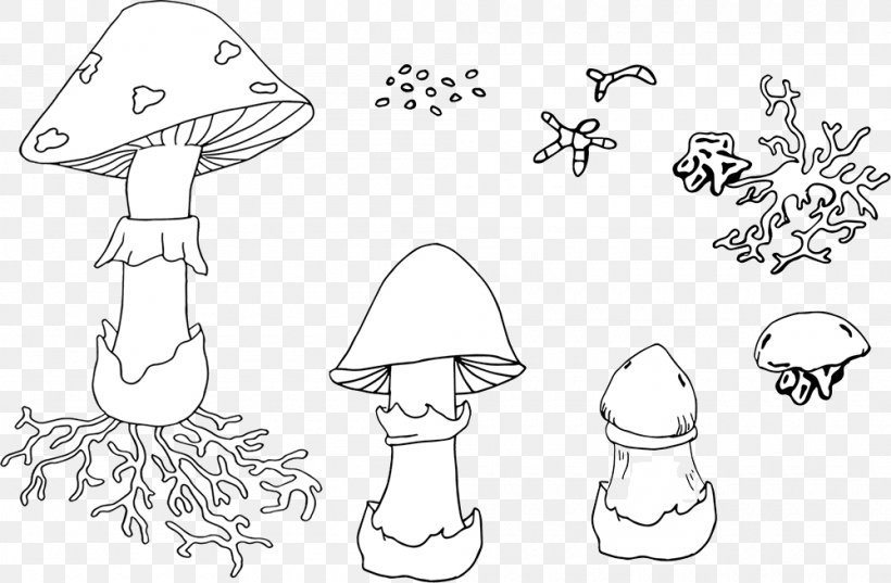 Gilled Mushrooms Fungus Drawing Illustration, PNG, 1000x655px, Mushroom, Art, Artwork, Biological Life Cycle, Black And White Download Free