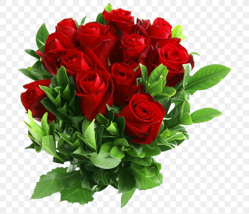Rose Flower Red Clip Art, PNG, 736x702px, Rose, Artificial Flower, Cut Flowers, Floral Design, Floribunda Download Free