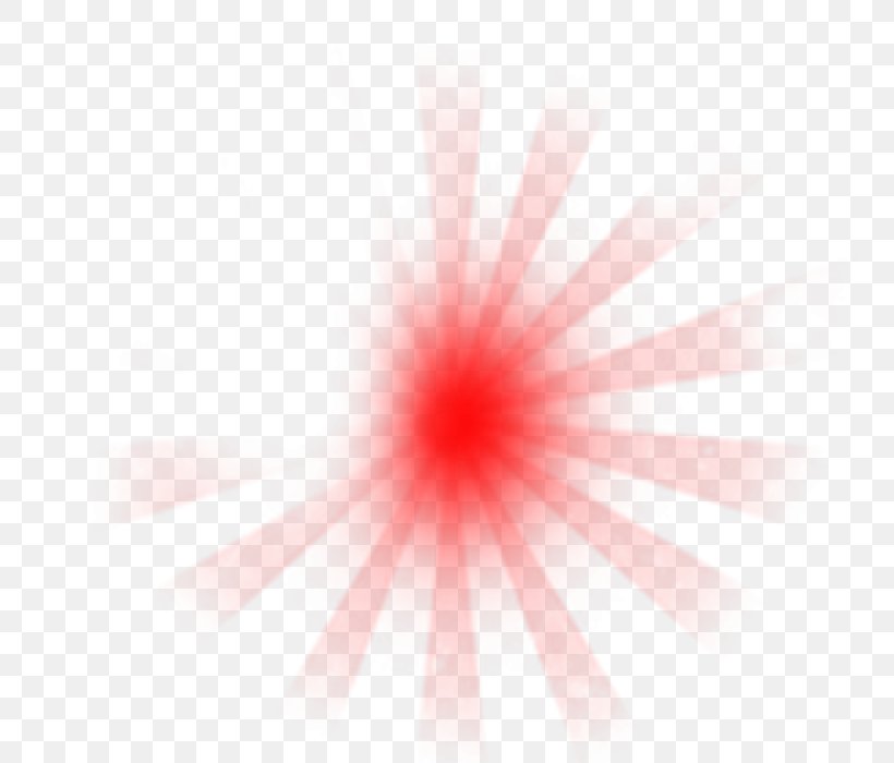 Sunlight Red Pink Magenta, PNG, 784x700px, Light, Close Up, Closeup, Flower, Magenta Download Free
