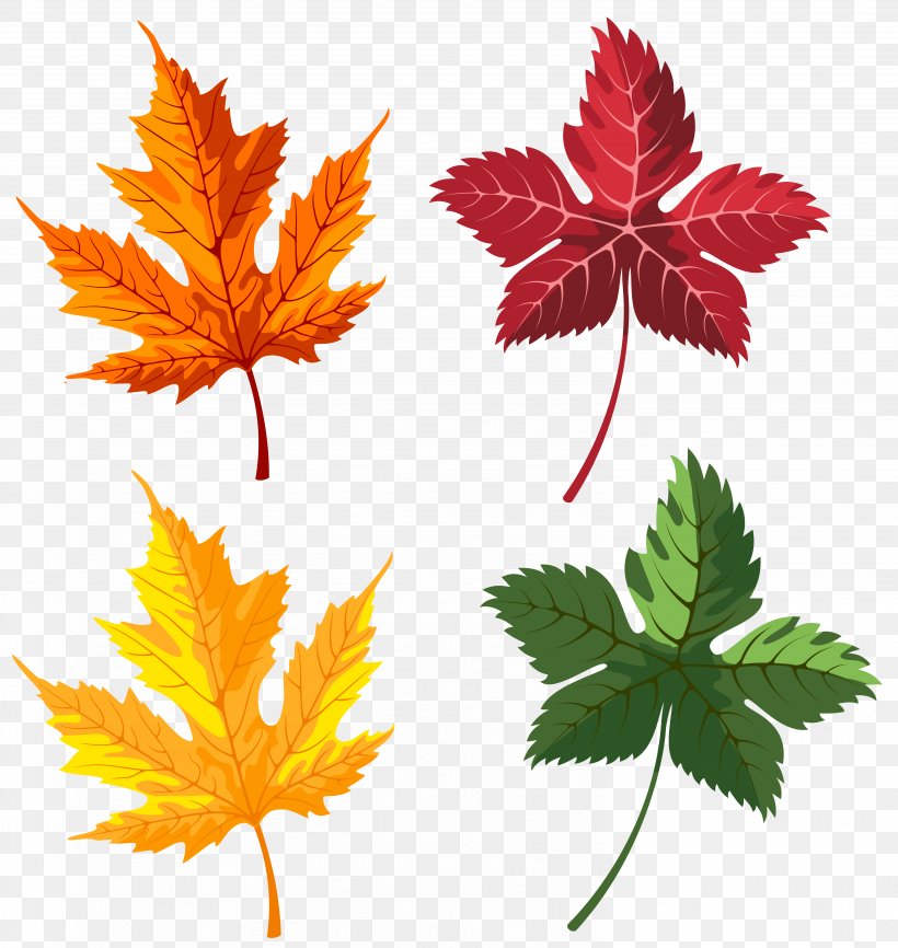 Autumn Leaf Clip Art, PNG, 6081x6426px, Leaf, Animation, Autumn, Autumn Leaf Color, Computer Animation Download Free