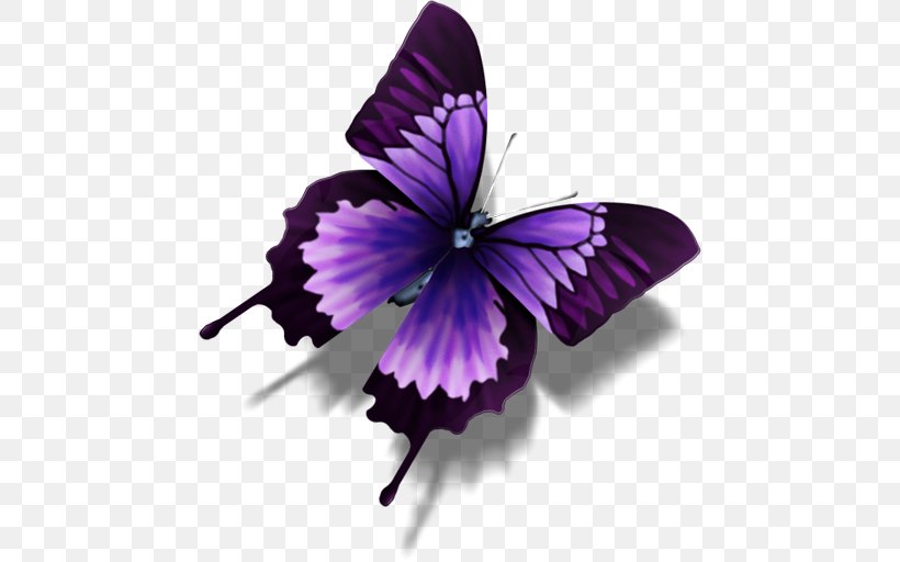 Butterfly Purple Icon, PNG, 512x512px, Butterfly, Apple Icon Image Format, Arthropod, Brush Footed Butterfly, Ico Download Free