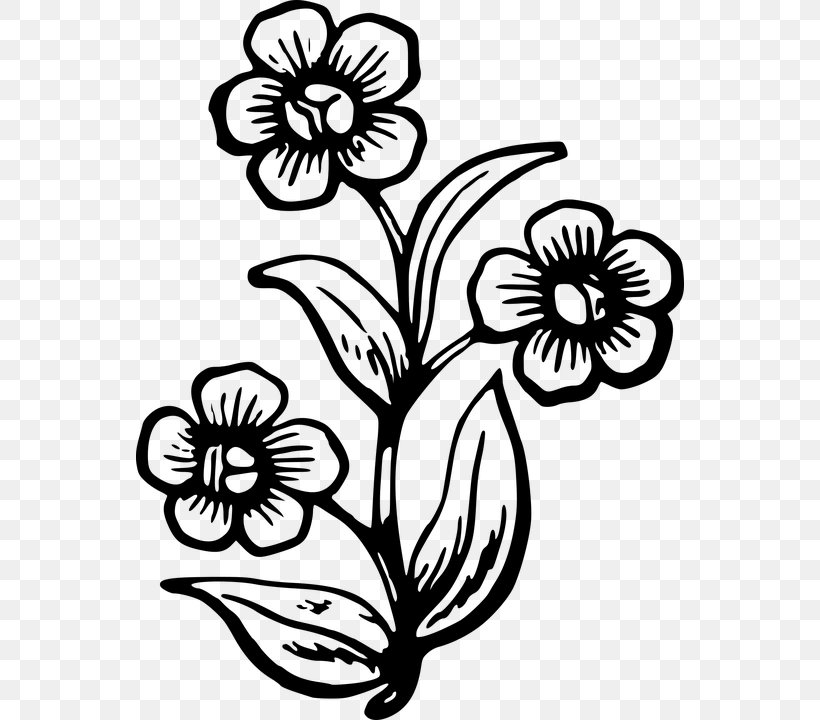 Drawing Stencil Clip Art Image Wildflower, PNG, 548x720px, Drawing, Art, Artwork, Black And White, Coloring Book Download Free