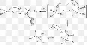 Koch Reaction Reaction Mechanism Chemical Reaction Carbonylation Alkyne ...