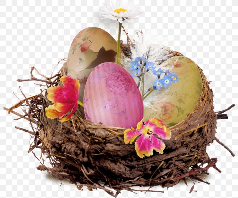Bird Nest Image Egg, PNG, 800x684px, Nest, Bird, Bird Nest, Clutch, Easter Download Free