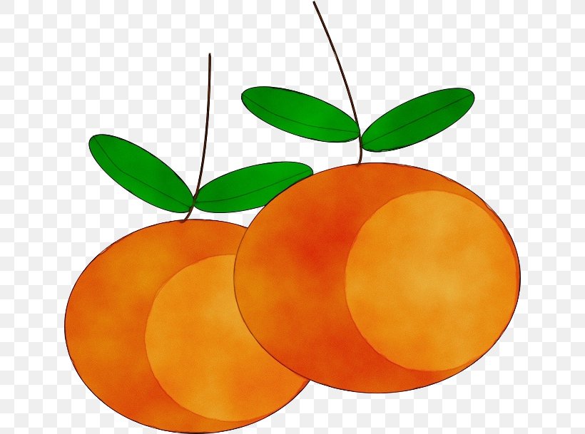 Watercolor Leaf, PNG, 640x609px, Watercolor, Bahia Orange, Citrus, Food, Fruit Download Free