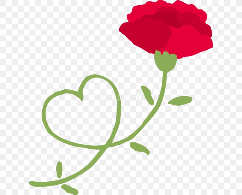 Carnation Illustration Garden Roses Floral Design, PNG, 623x660px, Watercolor, Cartoon, Flower, Frame, Heart Download Free