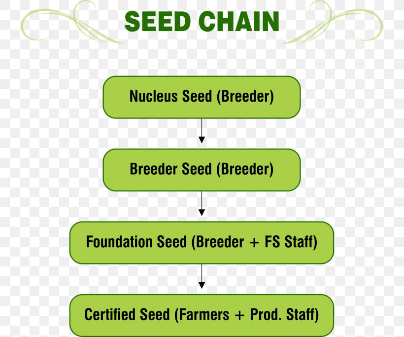 Seed Zlock System Supply Chain Zecurion, PNG, 735x683px, Seed, Area, Brand, Business, Global Warming Download Free