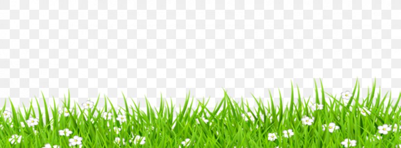 TV VERBO Pasture Desktop Wallpaper, PNG, 850x315px, Pasture, Animation, Blog, Commodity, Drawing Download Free