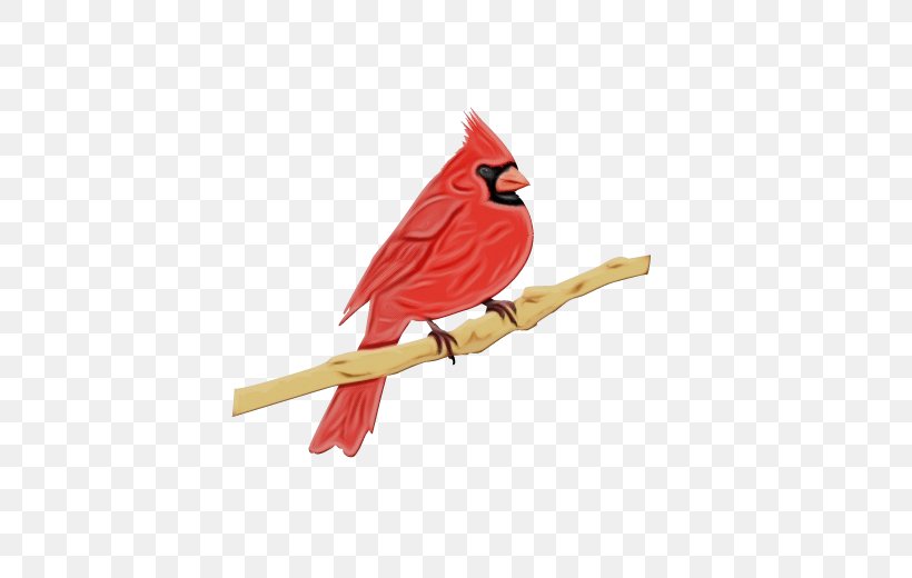 Bird Cardinal Northern Cardinal Beak Songbird, PNG, 600x520px, Watercolor, Beak, Bird, Branch, Cardinal Download Free
