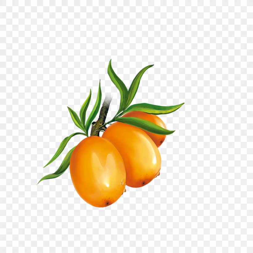 Cherry Tomato Clementine Mandarin Orange Tangerine, PNG, 1800x1800px, Cherry Tomato, Auglis, Cherry, Citrus, Clementine Download Free
