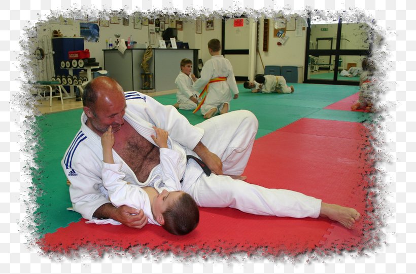 Judo Karate Hapkido Taekkyeon Tang Soo Do, PNG, 784x541px, Judo, Combat Sport, Hapkido, Japanese Martial Arts, Jujutsu Download Free