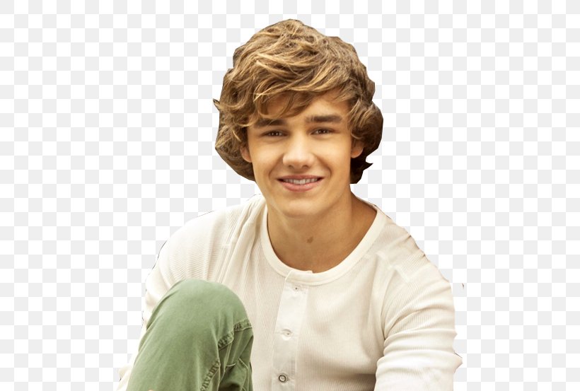 Liam Payne One Thing One Direction Dating, PNG, 500x553px, Watercolor, Cartoon, Flower, Frame, Heart Download Free