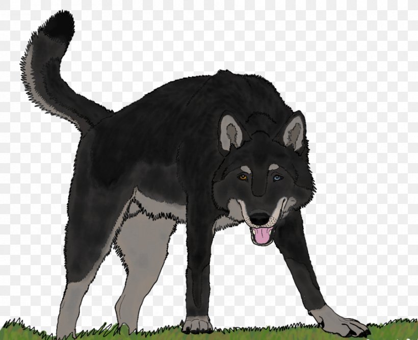 Norwegian Elkhound Wolfdog Dog Breed Hyena Fur, PNG, 900x733px, Norwegian Elkhound, August 17, Breed, Carnivoran, Deviantart Download Free