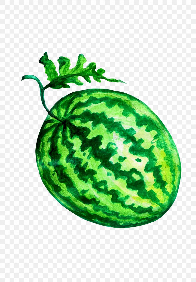 Watermelon Fruit 果肉 Vegetable Image, PNG, 1600x2300px, Watermelon, Auglis, Cartoon, Citrullus, Cucumber Gourd And Melon Family Download Free