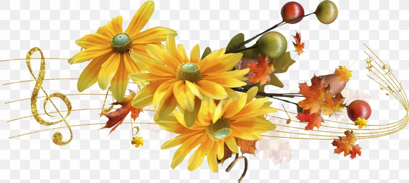 Blog Daytime Morning .de Birthday, PNG, 3000x1345px, Blog, Autumn, Birthday, Chrysanths, Cut Flowers Download Free