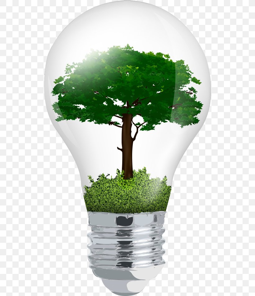Incandescent Light Bulb Euclidean Vector Tree, PNG, 538x951px, Light, Digital Image, Energy, Energy Saving Lamp, Flowerpot Download Free