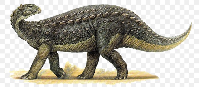 Tyrannosaurus Scelidosaurus Abrictosaurus Dinosaur Saltriosaurus, PNG, 800x358px, Tyrannosaurus, Abrictosaurus, Animal, Animal Figure, Dinosaur Download Free