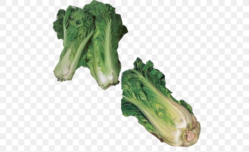 Romaine Lettuce Spring Greens Napa Cabbage, PNG, 502x502px, Romaine Lettuce, Bok Choy, Broccoli, Chard, Chinese Cabbage Download Free