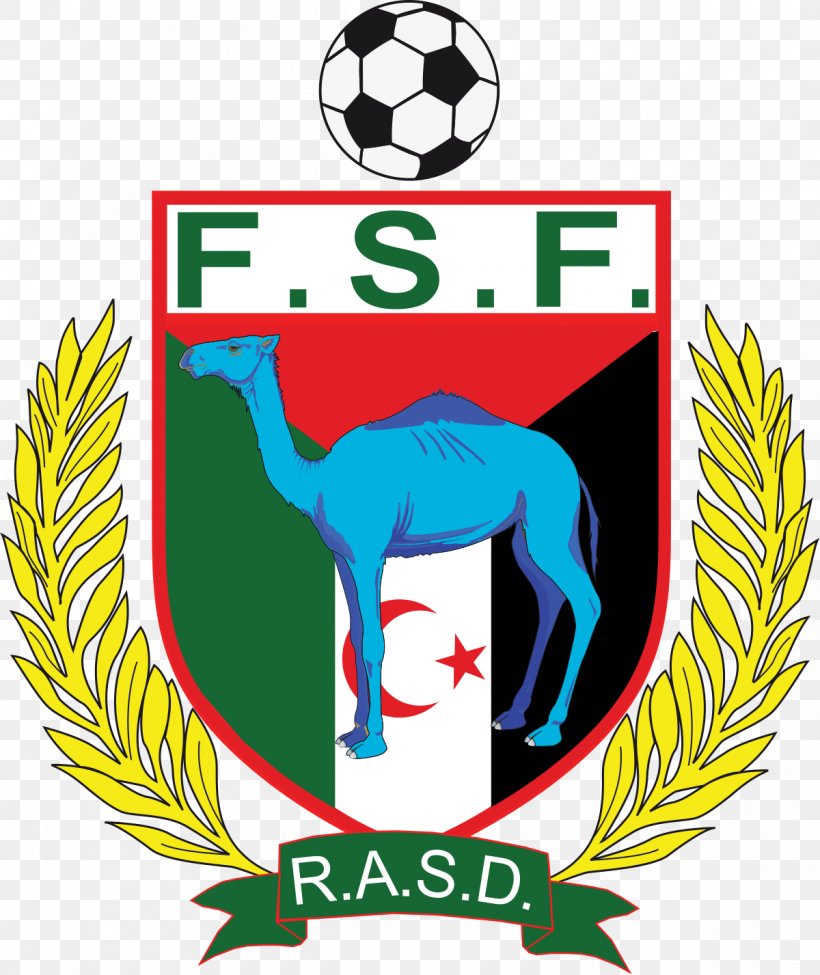 Sahrawi National Football Team Galicia National Football Team Sahrawi Arab Democratic Republic N.F.-Board, PNG, 1200x1427px, Sahrawi National Football Team, Area, Artwork, Ball, Brand Download Free