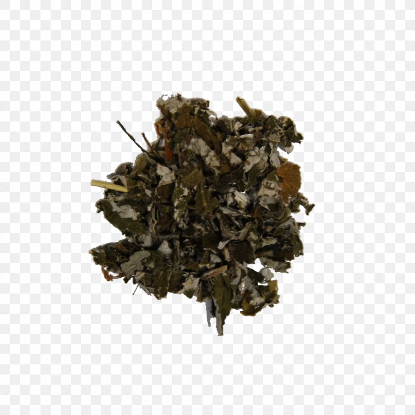 Red Raspberry Leaf Leaf Vegetable Herbal Tea, PNG, 1024x1024px, Raspberry, Assam Tea, Bancha, Ceylon Tea, Da Hong Pao Download Free