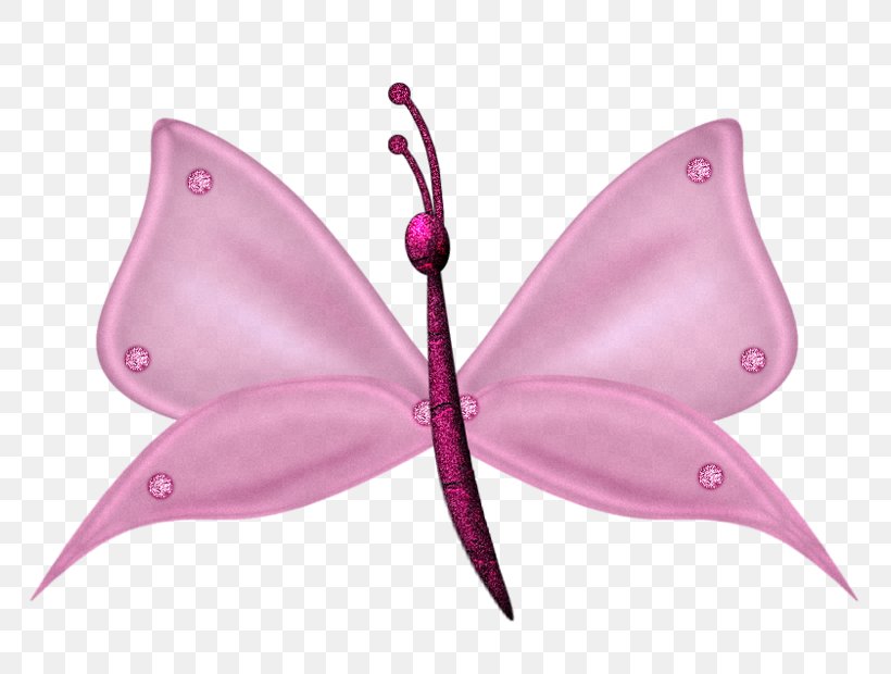 Animation Clip Art, PNG, 800x620px, Animation, Butterfly, Designer, Insect, Invertebrate Download Free
