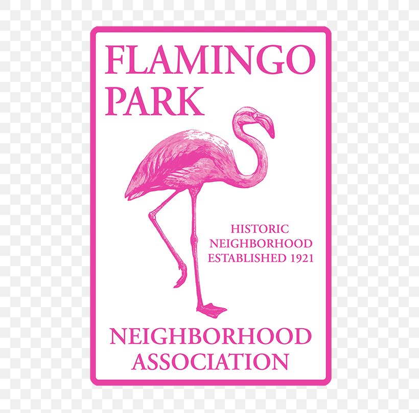 Il Fenicottero Beak Greater Flamingo Bird Animal, PNG, 600x807px, Beak, Amazoncom, Animal, Bird, Birdwatching Download Free
