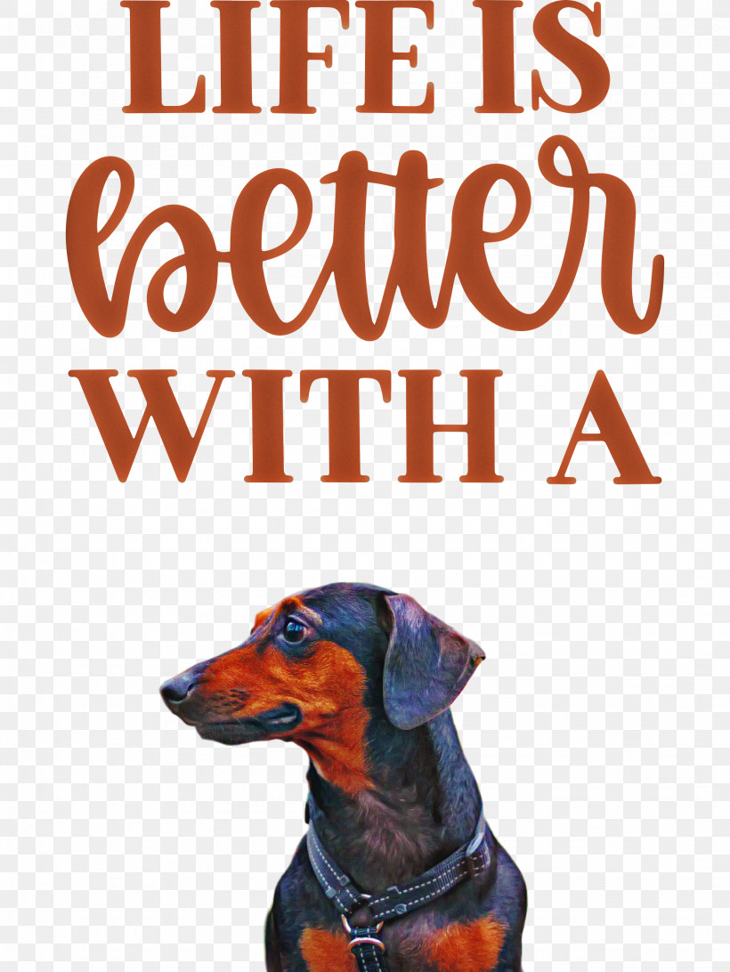 Life Better, PNG, 2252x3000px, Life, Better, Biology, Breed, Dog Download Free