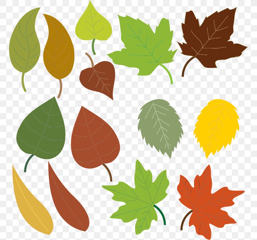 Autumn Tree Branch, PNG, 764x765px, Leaf, Autumn, Autumn Leaf Color, Black Maple, Branch Download Free