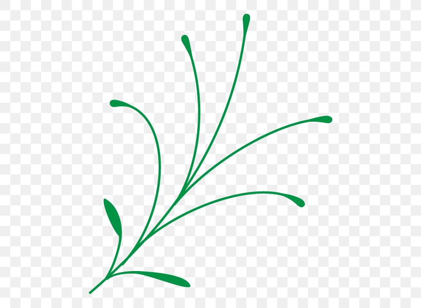 Leaf Clip Art Plant Stem Flower Grasses, PNG, 600x600px, Leaf, Flora, Flower, Grass, Grass Family Download Free