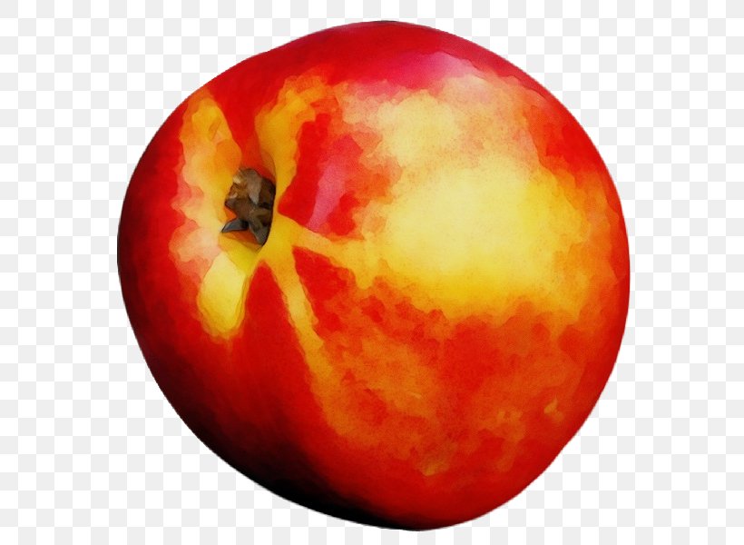 Orange, PNG, 600x600px, Watercolor, Apple, Fruit, Orange, Paint Download Free