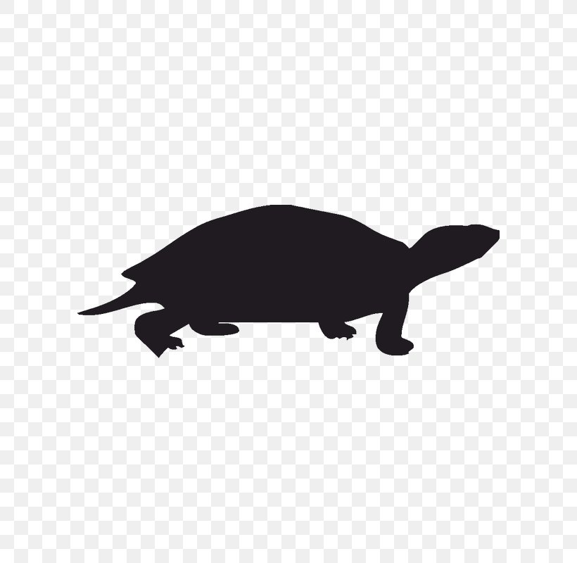 Sea Turtle Silhouette, PNG, 800x800px, Turtle, Animal, Black, Black And White, Carnivoran Download Free